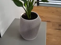 0.2mm layer, 2 walls, 10% infill