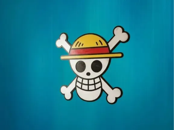 Cartel OnePiece