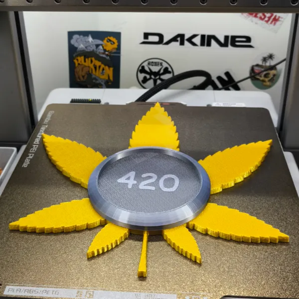 https://makerworld.bblmw.com/makerworld/model/US6b830db32554da/design/2024-12-20_29b65e405a75f.jpg