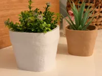 Extra Small Size - XS — 6 cm / 2.4" tall x 8 cm / 3.14" wide