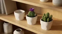 Small Size - 8.5 cm / 3.3" tall x 10 cm / 3.9" wide