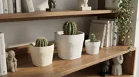 Large Size - 17 cm / 6.7" tall x 20 cm / 7.9" wide