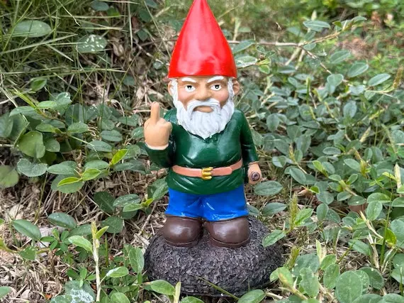 Garden Gnome Giving the Finger