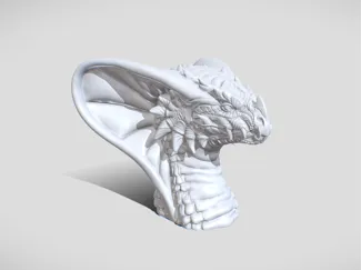 Dragon Head