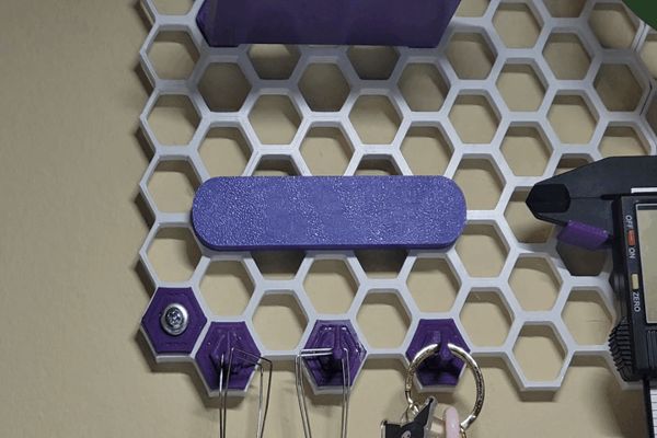 https://makerworld.bblmw.com/makerworld/model/US6b8db51deb030d/design/2025-03-04_6c28238bd8c54.gif
