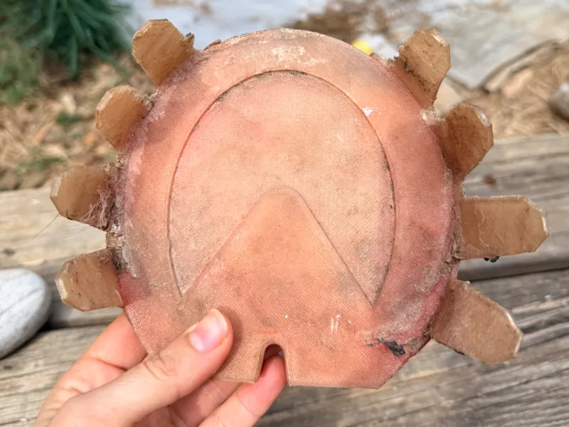glue on horse shoe solid sole