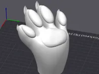 The Paw