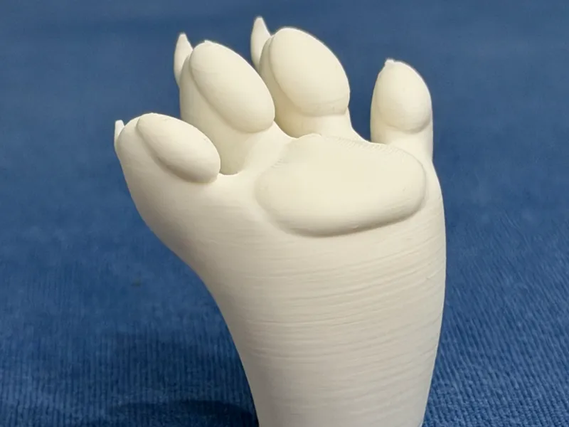 The Paw