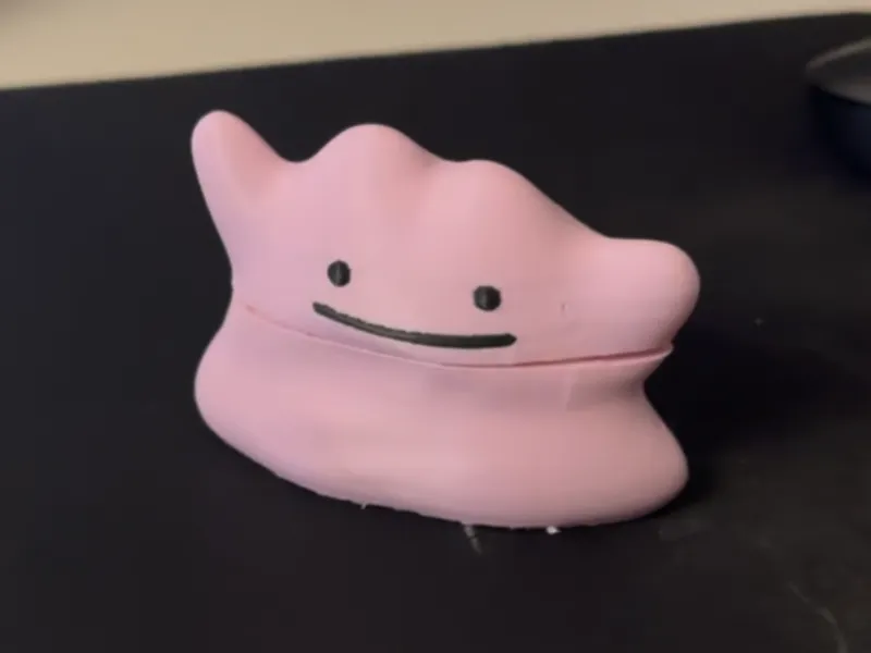 Funda Airpods Pro Ditto