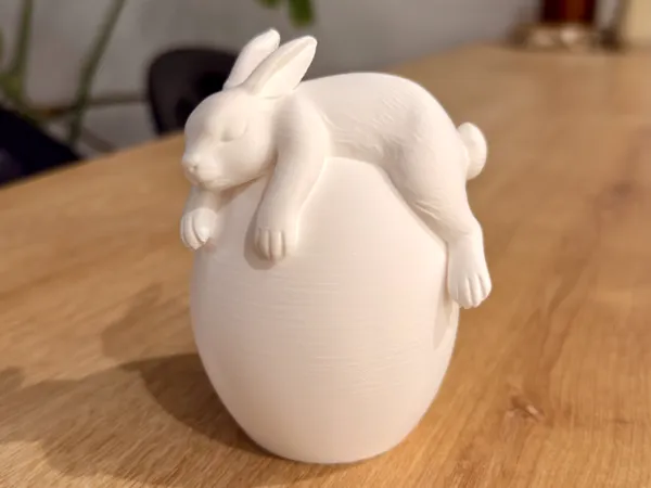 https://makerworld.bblmw.com/makerworld/model/US6b97e666ff195e/design/3ba53b005e22dafb.jpg