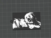 0.2mm nozzle, 0.1mm layer, 4 walls, 15% infill