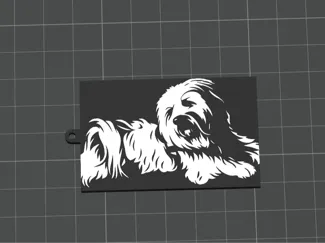 Hund