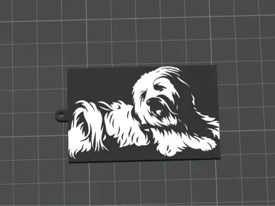 Hund