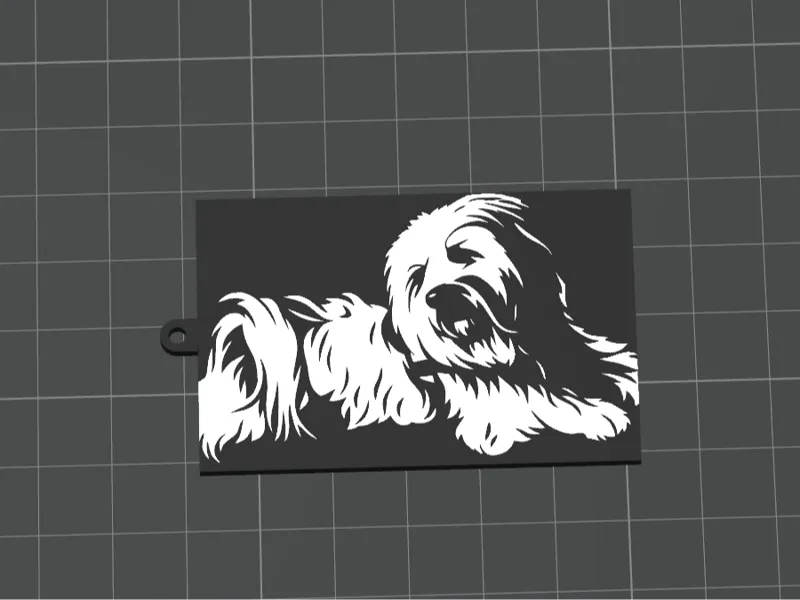 Hund