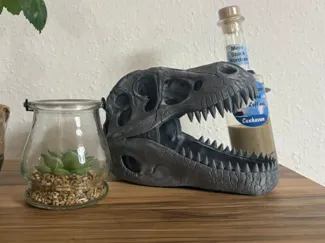 Dinosaurier Skelett Kopf 