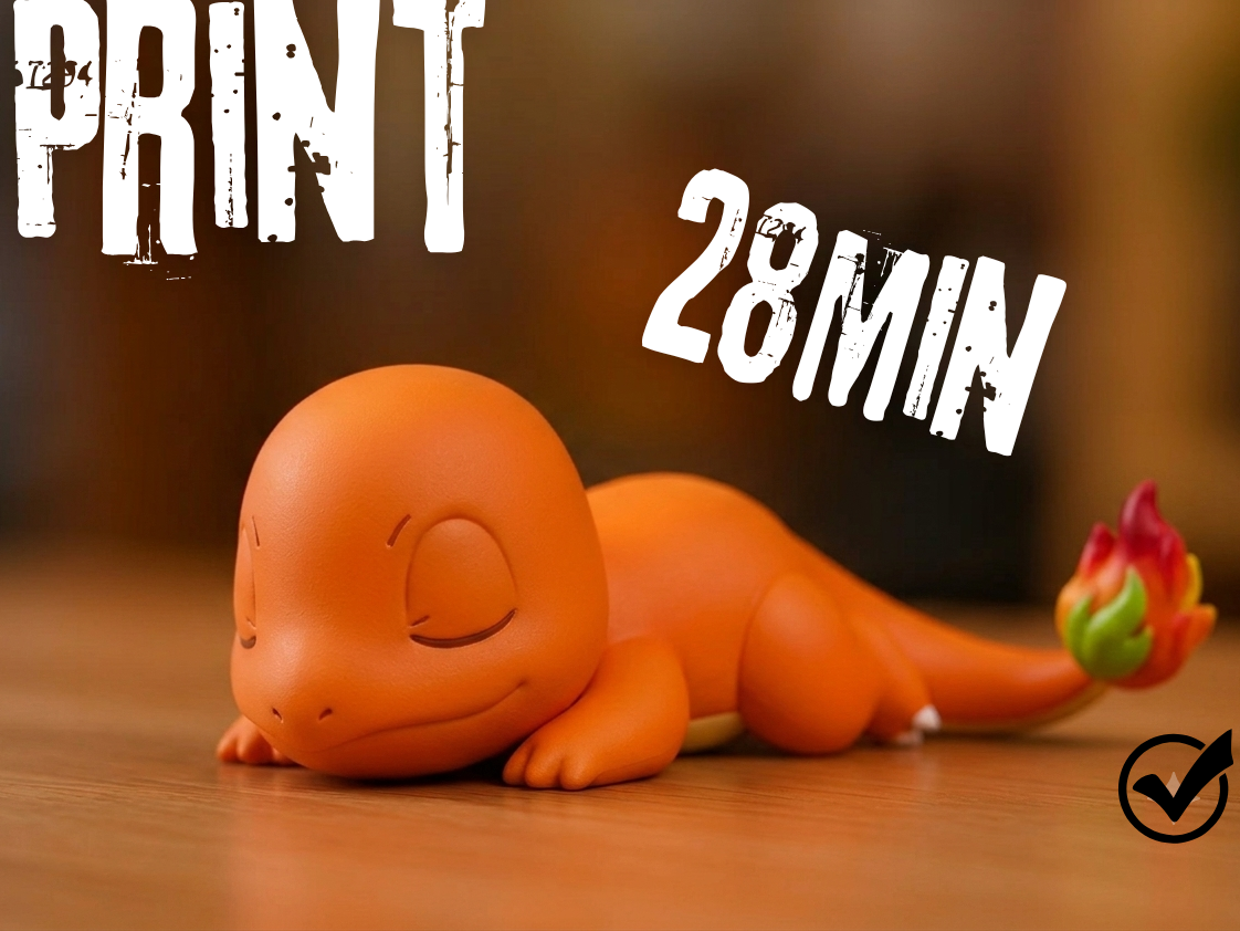 Little Sleep Charmander
