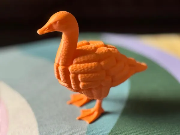 https://makerworld.bblmw.com/makerworld/model/US6b9f26eb8c4087/design/6a2f8ba52b6bdd13.jpeg