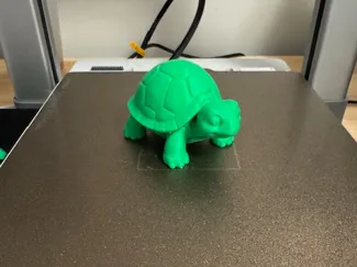 Turtle