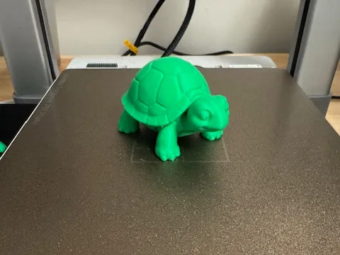 Turtle