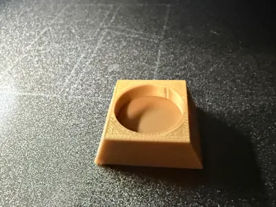 Hatchling Gecko Food Dish