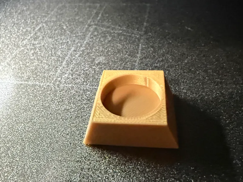 Hatchling Gecko Food Dish