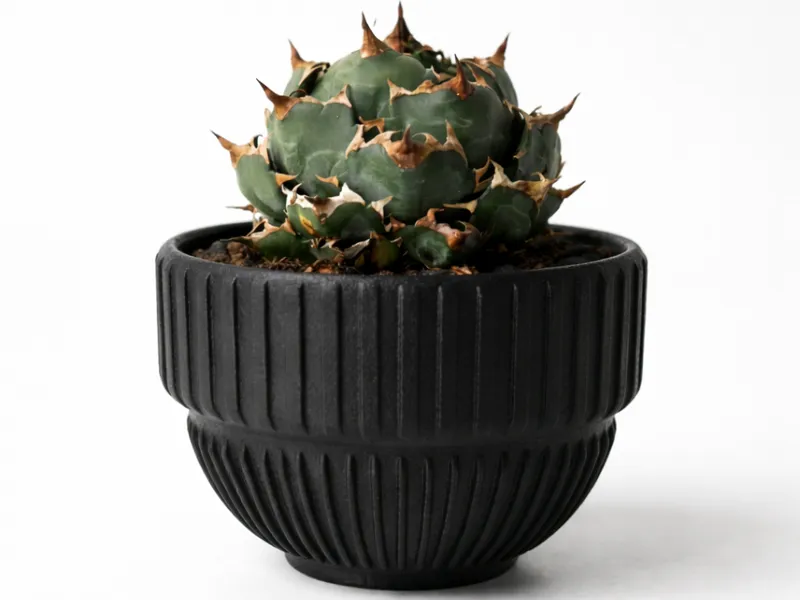 Muffin Planter