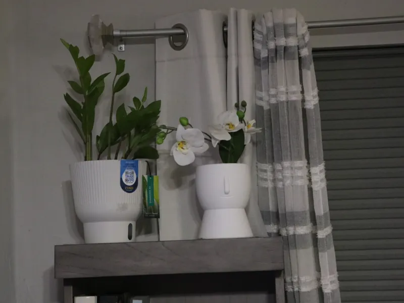 Vase With Face