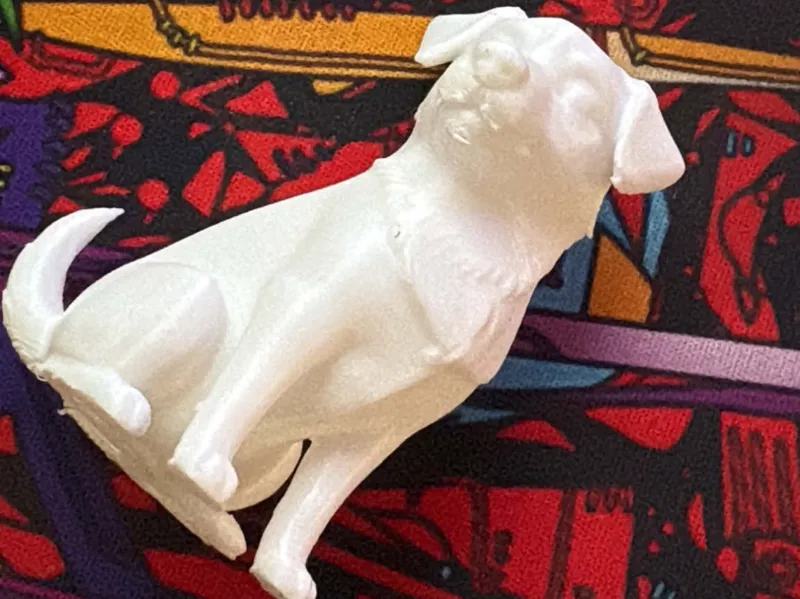 Perro Chiribaya (Peruano)