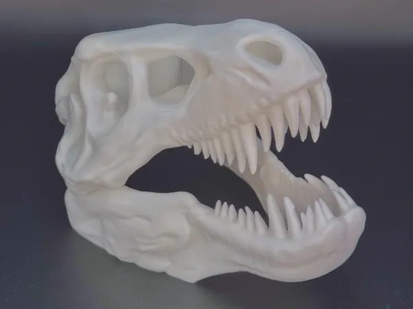 https://makerworld.bblmw.com/makerworld/model/US6bada48446c4a4/design/2025-11-02_e6ca3c98c253e8.jpg