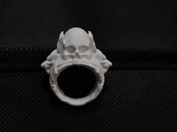 https://makerworld.bblmw.com/makerworld/model/US6bb0949111237f/design/7240c9ed-f14a-4b43-82a7-80601e34bd13.webp