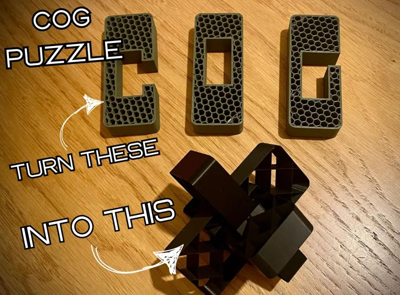 COG Puzzle (Burr Puzzle)