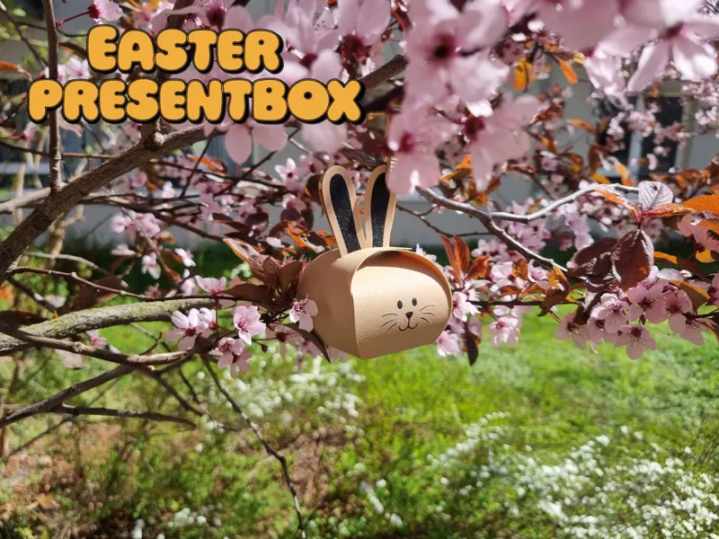 Easter Box Rabbit
