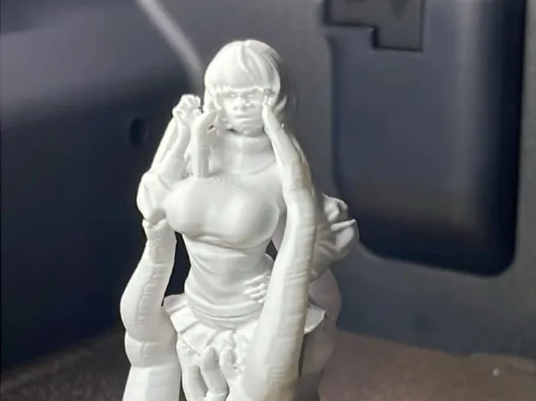 https://makerworld.bblmw.com/makerworld/model/US6bb5438d3cc48f/design/f3309de3b2604f02.jpeg