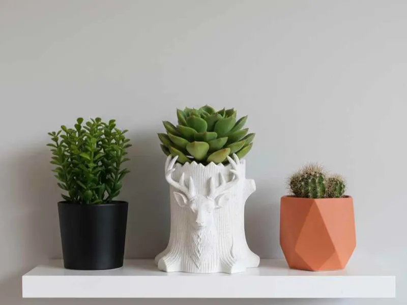 Spirit deer pot