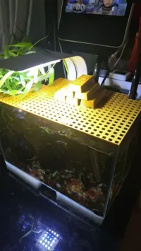 Grille anti-saut modulable pour aquarium — photo 3