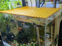 Grille anti-saut modulable pour aquarium — photo 2