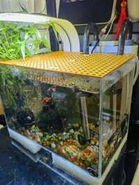 Grille anti-saut modulable pour aquarium — photo 4
