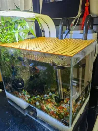 Grille anti-saut modulable pour aquarium — photo 6