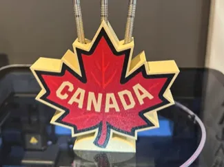 Canada Dart Holder