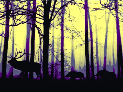 Forest Deer Silhouette 