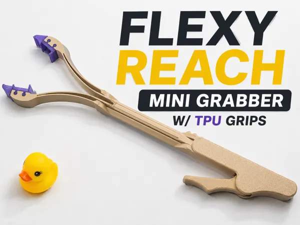 https://makerworld.bblmw.com/makerworld/model/US6bc85844184fa6/design/20d6ddd28168775b.png