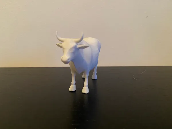https://makerworld.bblmw.com/makerworld/model/US6bc876c6246df7/design/2025-02-07_7add449db73fd8.jpeg