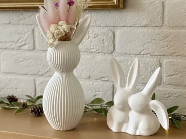 https://makerworld.bblmw.com/makerworld/model/US6bcba946f0c98b/design/3c3a2f338973e861.jpg
