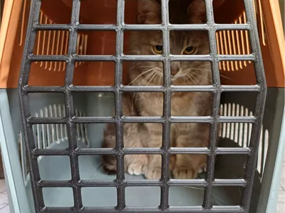 Pet Carrier Door
