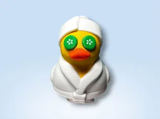 Spa Jeep/Cruise Duck
