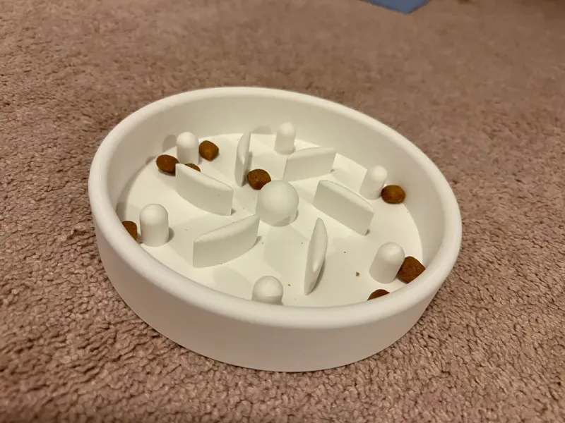 Cat Slow Feeder