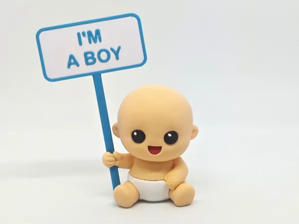 https://makerworld.bblmw.com/makerworld/model/US6bd6a9718076ca/design/6a44f38fd08c99c4.jpg