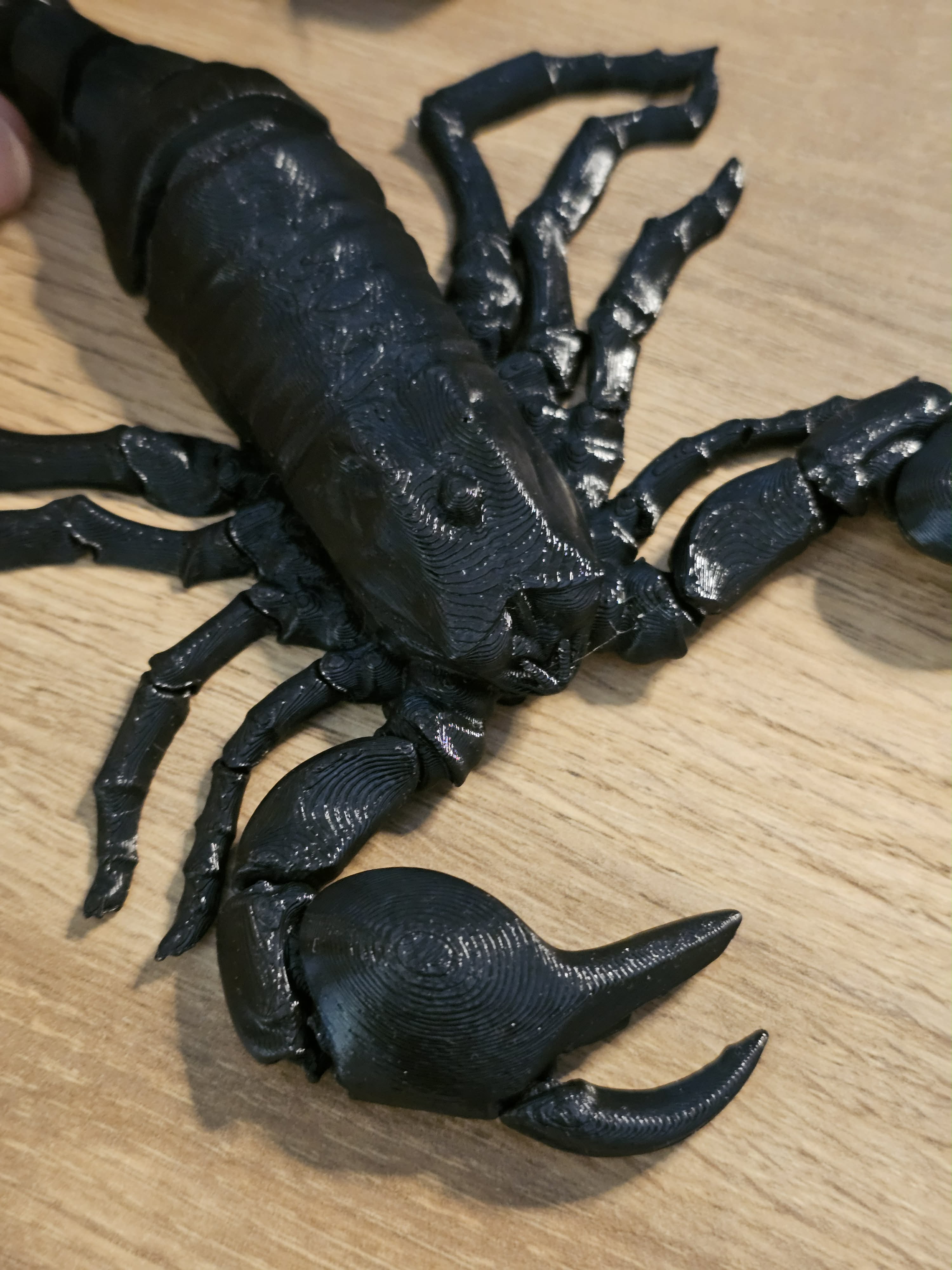 Miniatura 4 do modelo 3D Realistic Flexi Scorpion