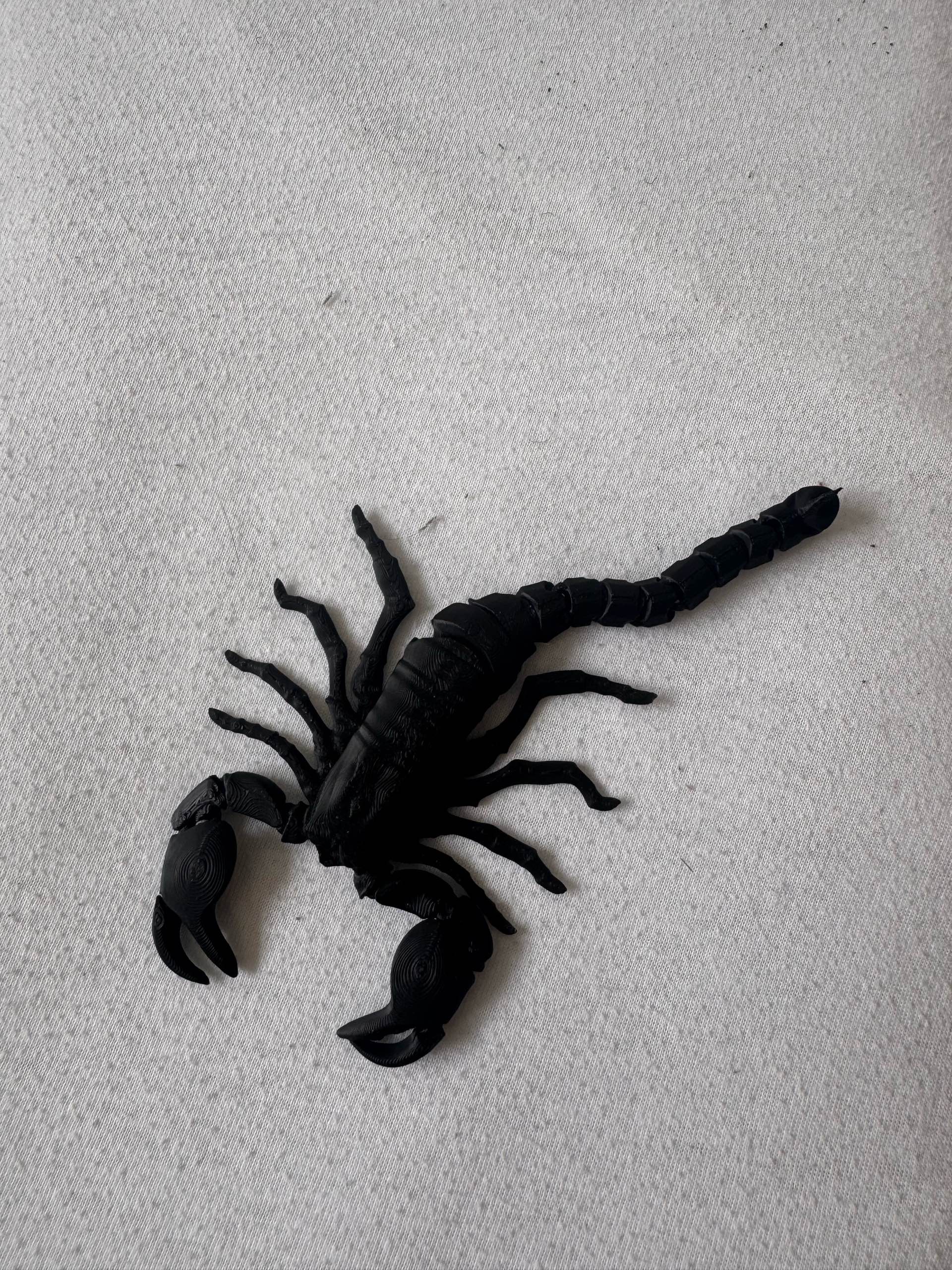 Miniatura 2 do modelo 3D Realistic Flexi Scorpion