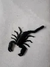60% scale solid legs (14cm with tail)